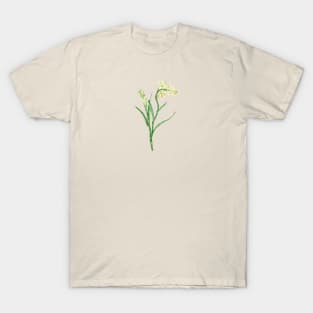 Tube Rose 2 Botanical T-Shirt